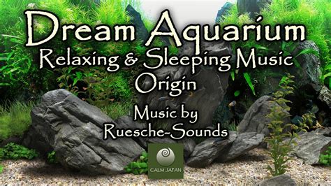 Dream Aquarium Origin Relaxation Meditation And Sleep Music 30
