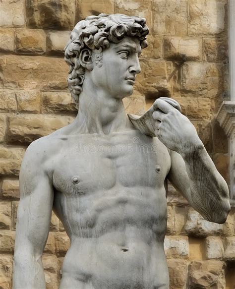 Estatua De David En Bw Imagen De Archivo Imagen De Músculo 84370357