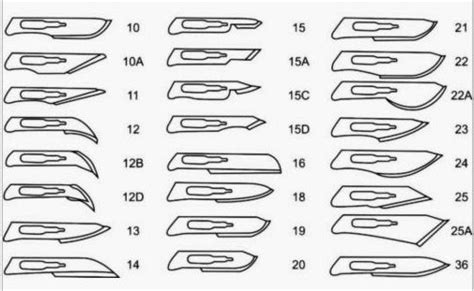 Typical Scalpel Shapes Sizes By Numerical Alphabetical Categorization