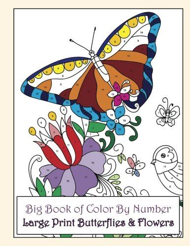 Free Download Big Book Of Color By Number Large Print Butterflies