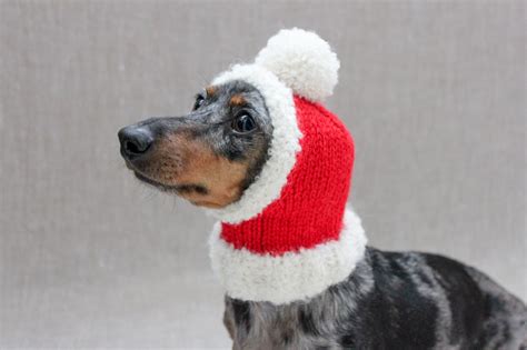 Small Dog Santa Hat Dachshund Santa Hat Dachshund Clothes Etsy