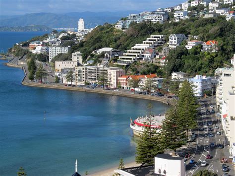 Buildings In Wellington Bay In New Zealand Image Free Stock Photo