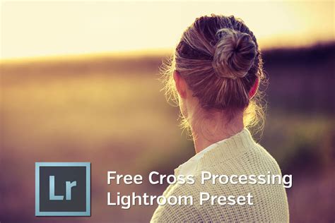 Thousands of lightroom presets for mobile & desktop can be downloaded very easily with just one click using the direct download links. 250 Free Lightroom Presets 2019: Ultimate Collection for ...