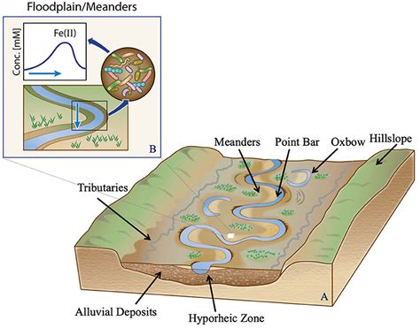 State Of The Knowledge Linking Hydrological And Biogeochemical