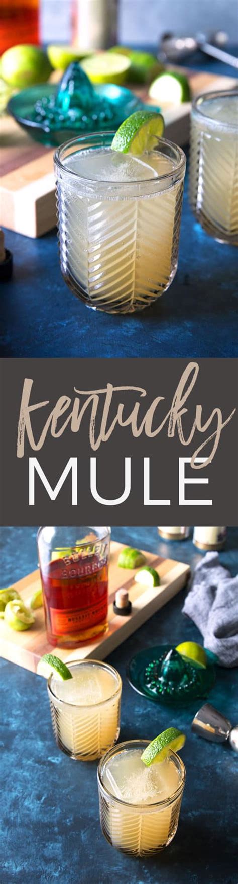 Kentucky Mule Recipe An Easy 3 Ingredient Cocktail