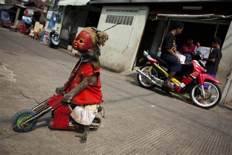 Performing Street Monkeys of Indonesia | Amusing Planet