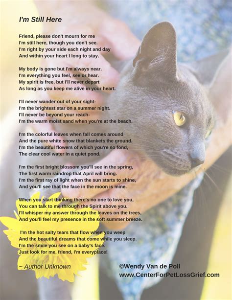 The size of your pet has no bearing on the amount of love you have for it. Pet Loss Poems to Support You! | Center for Pet Loss Grief