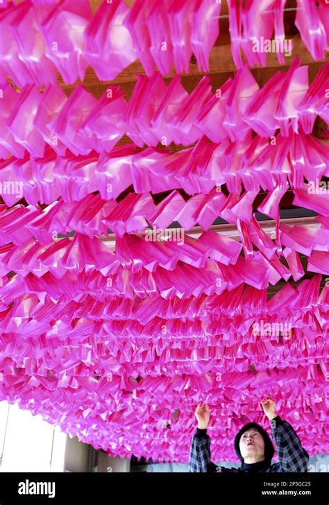 A Worker Dries Mino Japanese Paper Colorfully Dyed At Futaba Paper