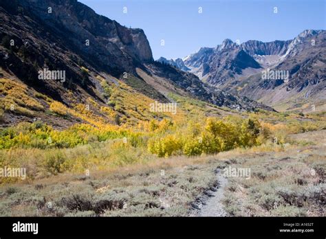 Digital Stock Image Of Fall Foliage And Mountains At Mcgee Creek Canyon