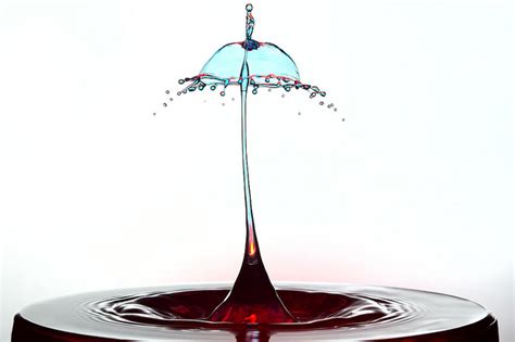 3 Masters Of Water Drop Photography Markus Reugels Martin Waugh