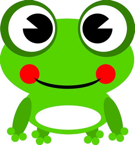 Frog Amphibian Animal · Free Vector Graphic On Pixabay