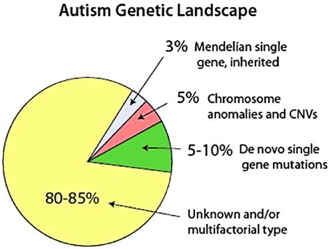 Autism Genetic Prospect 92 Download Scientific Diagram