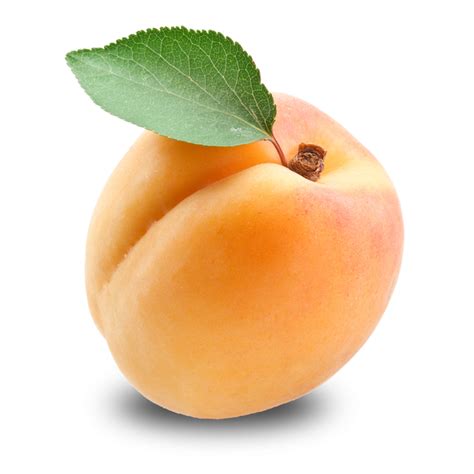 Apricot Close Up Png Clipart Png Mart