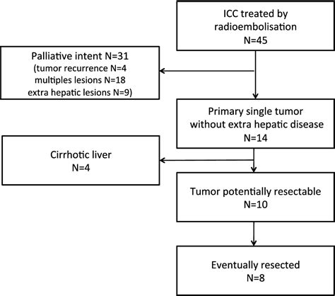 Figure 1 From The Combination Of Intra Arterial Yttrium 90 Radioembolization With Systemic