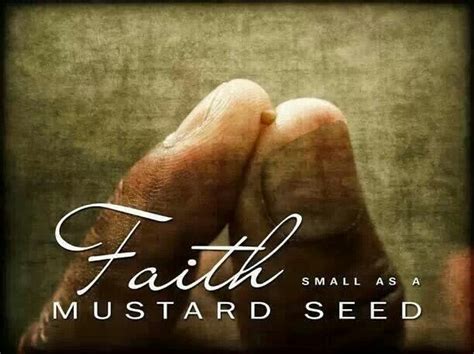 Luke 176 Nkjv 6 So The Lord Said “if You Have Faith As A Mustard