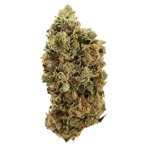 Pure Laine Big Pleasures 28g Hybrid Montrose Cannabis