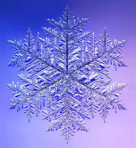 Monster Snowflake Snow Crystal Snowflake Wallpaper Snowflakes