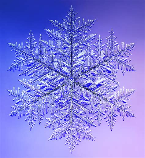 Monster Snowflake Macro Photography