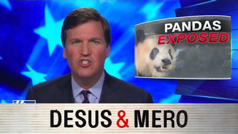 Tucker Carlson And Sex Crazed Pandas Youtube 24112 Hot Sex Picture