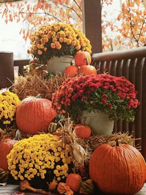 Fall Decorating With Pumpkins 8 Creative Diy Pumpkin