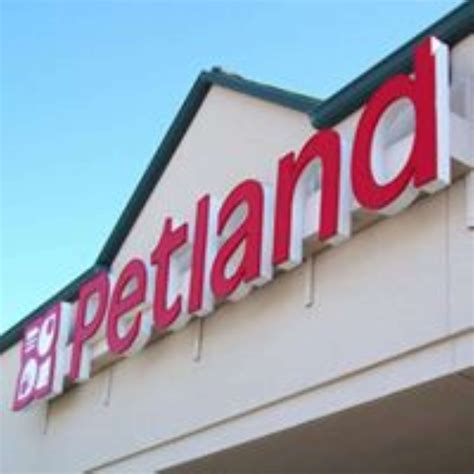 Petland - Tyler, TX - Pet Supplies
