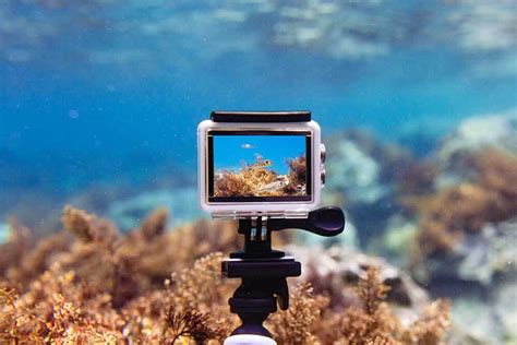 Greatest Motion Cameras For Scuba Diving 2022 Portal News Web