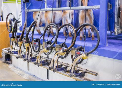Automated Goat Milking Suction Machine With Teat Cups At Exhibition Stock Photo Image Of Pump