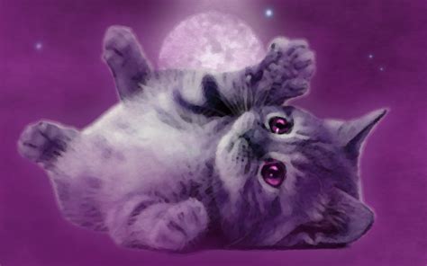 Little Purple Cat By Aameliie On Deviantart