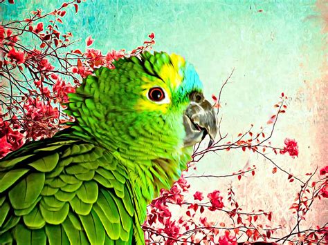 Green Parrot Profile Photograph By Trudee Hunter Fine Art America