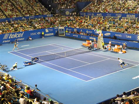dimitrov takes the acapulco tennis open 2014