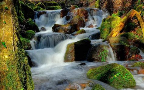 Beautiful Cascading Waterfall Beautiful Green Nature Wooden Bridge