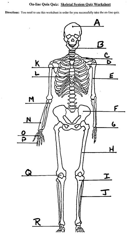 Image Result For Skeletal System Labeled Skeletal System Worksheet