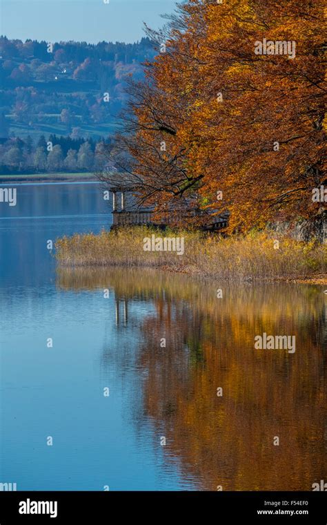 Autumn At Lake Kochel Or Kochelsee Lake Kochel Am See Upper Bavaria