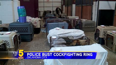 Police Bust Cockfighting Ring In Oklahoma City