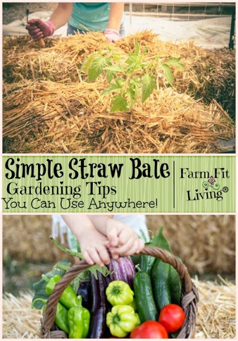 Simple Straw Bale Gardening Tips You Can Use Anywhere