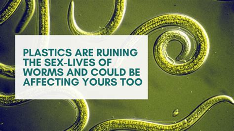 Plastics Are Ruining The Sex Lives Of Worms And Could Be Affecting Yours Too Understanding