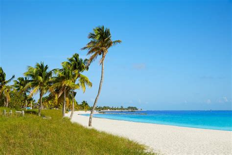Best Beaches In Key West The Crazy Tourist Islands My Xxx Hot Girl