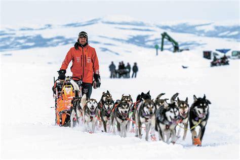 Norwegian musher wins Alaska's Iditarod sled dog race | Homer News