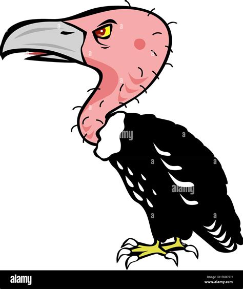 Vulture Vector Stock Vector Images Alamy