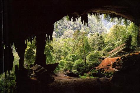 Attractions At Niah National Park Niah Cave Gua Niah Miri
