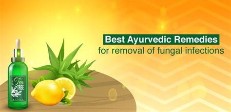 Best Ayurvedic Remedies For Removal Of Fungal Infections