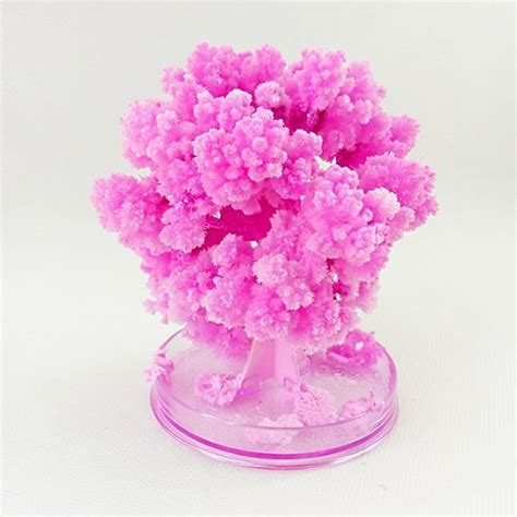 2019 50pcs 10x8cm Artificial Magically Grow Paper Sakura Trees Magic Growing Tree Japan Desktop