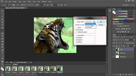 Top Exporting Animated Gif From Photoshop Lestwinsonline Com
