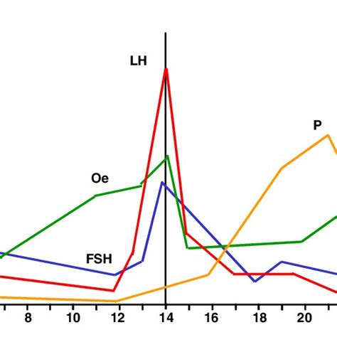 Female Sex Hormone Concentrations Across The Menstrual Cycle