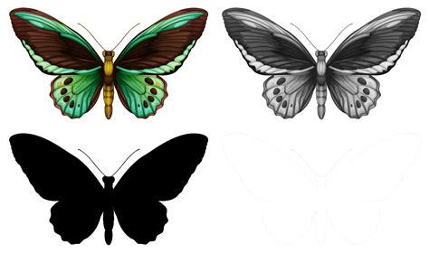Set of butterfly character 607753 - Download Free Vectors, Clipart ...