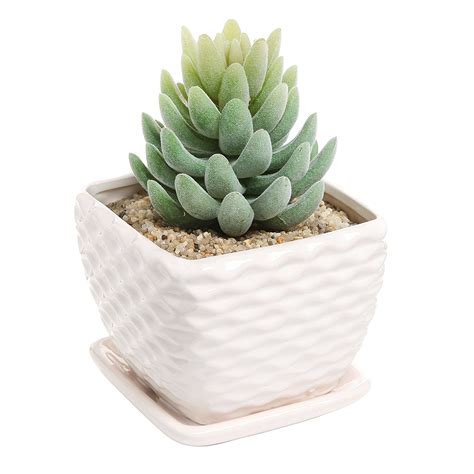 Mkono ceramic hanging planter colorful flower plant pots. White Flower Pots as Nice Indoor Outdoor Planter | Decor ...