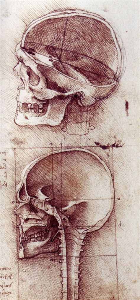 Leonardo Da Vinci And Humanisms Blueprint On Point