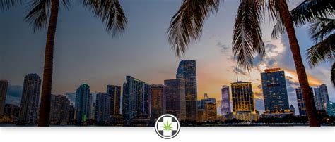 The process with mmj card online services is pretty straightforward. Miami Marijuana Doctors | Dr. Green Relief Florida Marijuana Card
