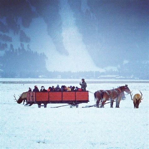 Ride Through The National Elk Refuge By Sleigh In Jackson