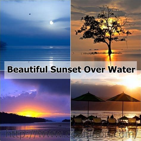 25 Best And Beautiful Sunset Over Water Images Coolupon
